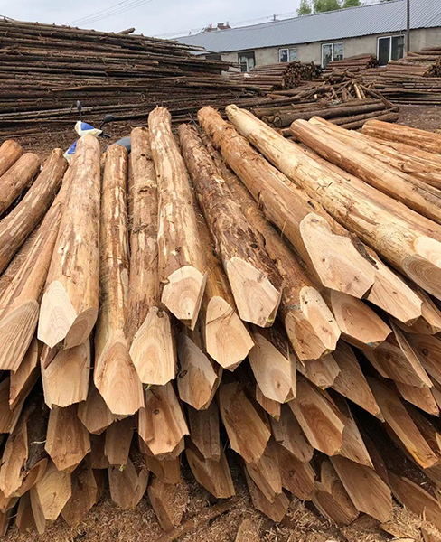 深耕行業(yè)，匠心為本 樂業(yè)木業(yè)杉木樁與鑿巖釬具的品質(zhì)之路